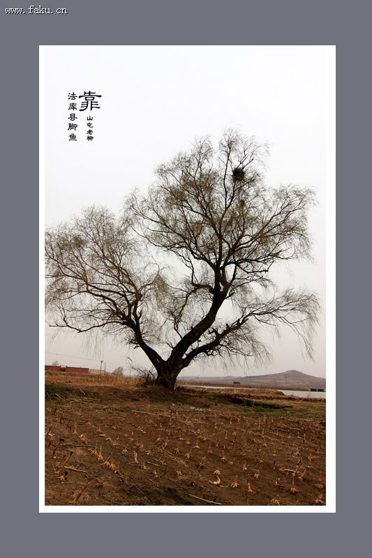 东大房申竟有如此美景 东大房申竟有如此美景