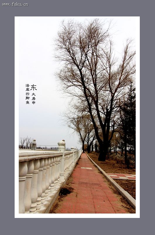东大房申竟有如此美景 东大房申竟有如此美景
