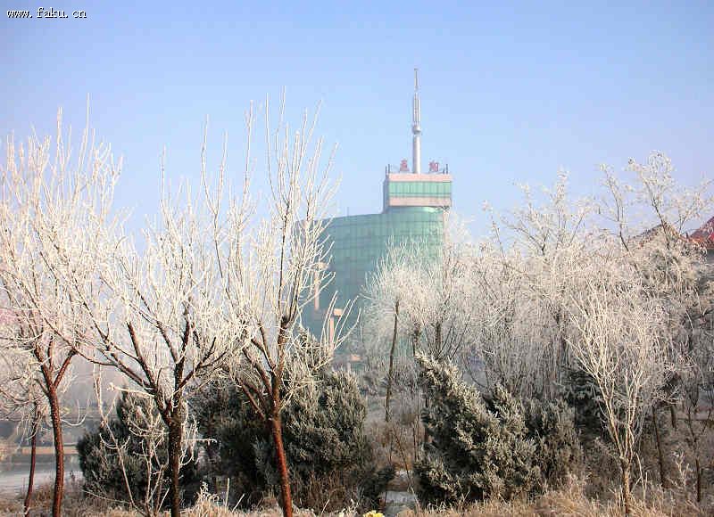 ӰƷ-4