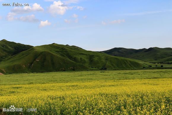 美丽的法库草原