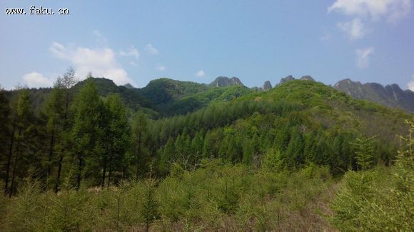 美景包家屯豹头山法库春天