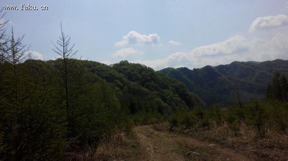 美景包家屯豹头山法库春天