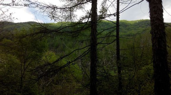 美景包家屯豹头山法库春天