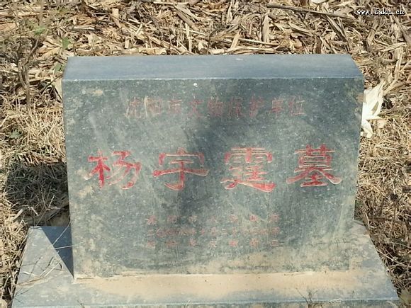 法库杨宇霆墓发最新图片