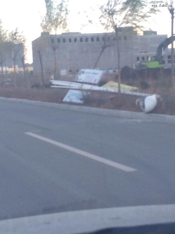 法库吧热心网友反映路灯杆倒地严重