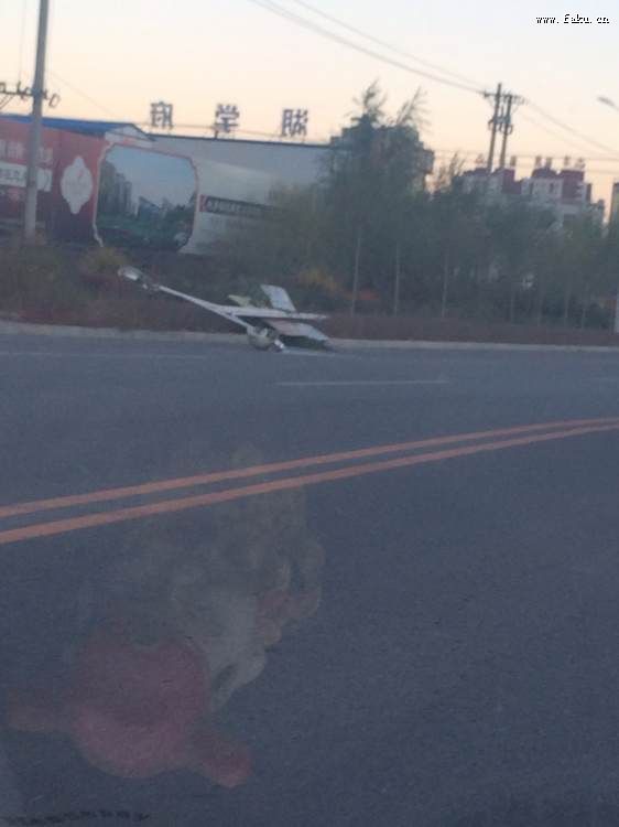法库吧热心网友反映路灯杆倒地严重