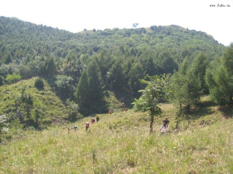 游蛇山沟石景山——法库人的骄傲 游蛇山沟石景山——法库人的骄傲