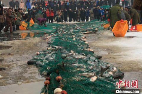 首届沈阳法库财湖冬捕节 冷资源拉动热经济 首届沈阳法库财湖冬捕节 冷资源拉动热经济