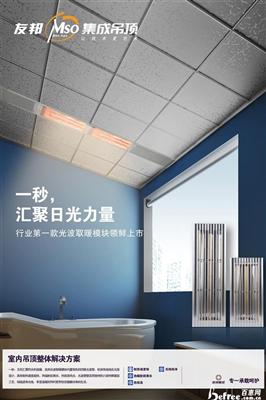 友邦集成吊顶五大功能模块 友邦集成吊顶五大功能模块