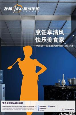 友邦集成吊顶五大功能模块 友邦集成吊顶五大功能模块